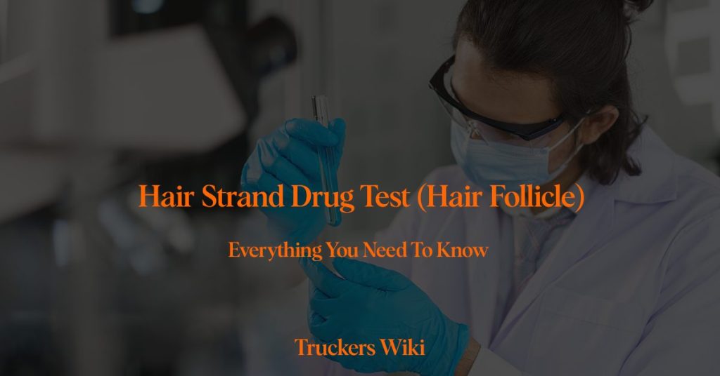 Hair Strand Drug Test (Hair Follicle) Truckers Wiki